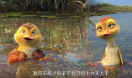 鸭子国产视频,鸭子的趣味生活大揭秘