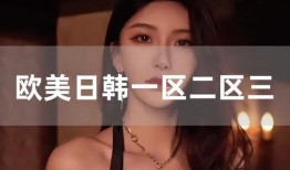 欧美日韩乱国产,欧美日韩乱国现象的成因与启示