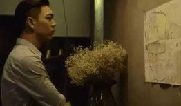 国产的毛片,探寻中国电影艺术的独特魅力