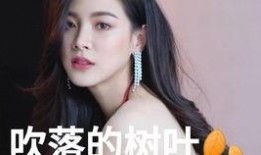 国产17p,引领科技潮流的创新之作