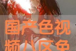 国产色在线视频,揭秘国内色情影视产业的现状与挑战